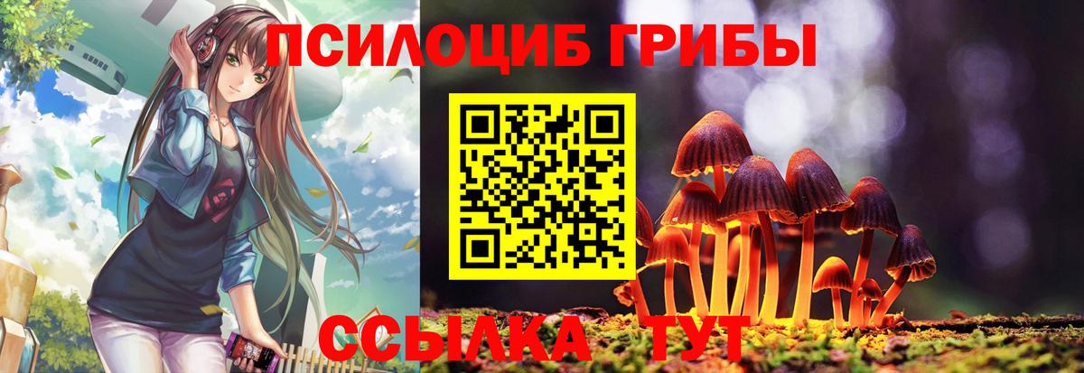 Сорочинск  Галлюциногенные грибы GOLDEN TEACHER  Вход с VPN 